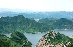 玉石林場